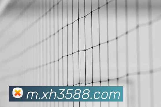 App 展示图